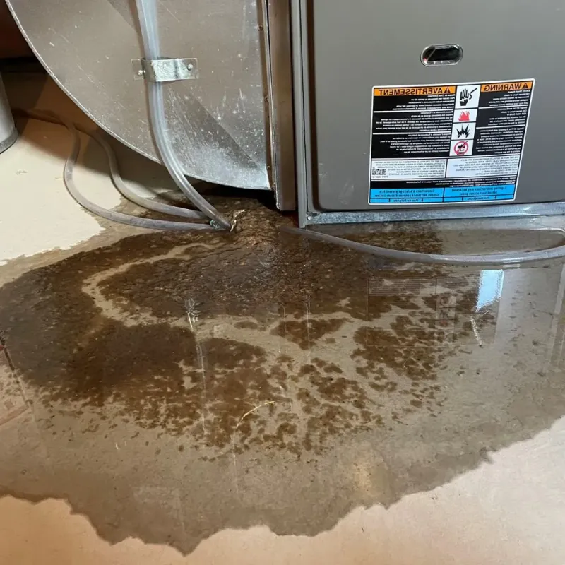 Pipe Burst and Leak Restoration in Hopkinton, MA